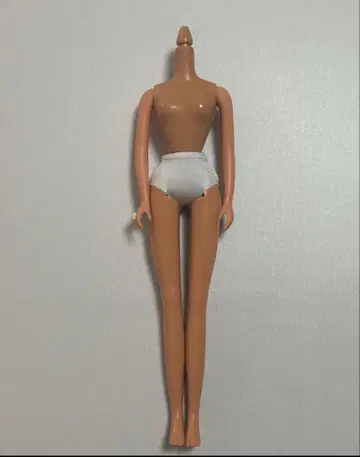 리카짱 캐슬 제니 바디 27cm 인형 바디 일광화상 피부