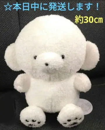 [ 라운드원 한정판 죠세마루 BIG 봉제 인형 [ 죠세마루 ] ]