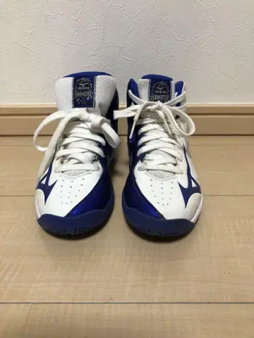 미즈노 23cm 농구 신발 스피도 체이서 SL