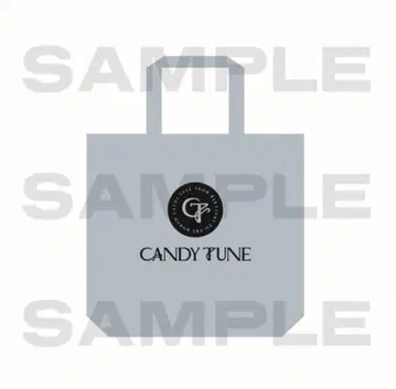 candy tune 스테디셀러 토트백 2 캔츄