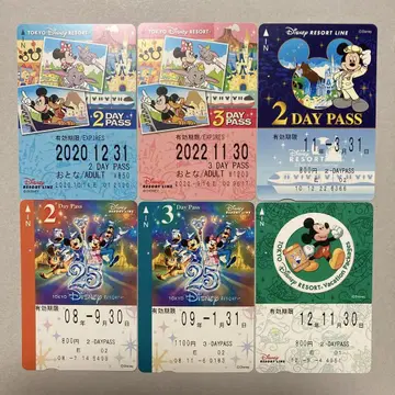 디즈니 프리 티켓 25주년 2.3Day Pass
