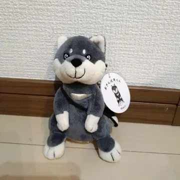 하시모토 미오 츠키군