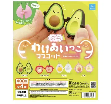 익명 배송  마스코트 Qualia 니코리노 4종 컴프 세트