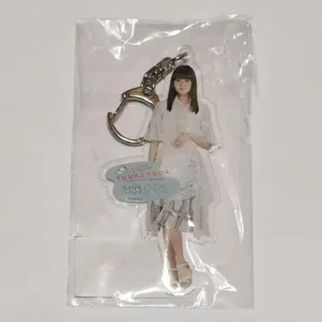 엔도 사쿠라 전신 아크릴 키링 요다 유키 졸업 콘서트