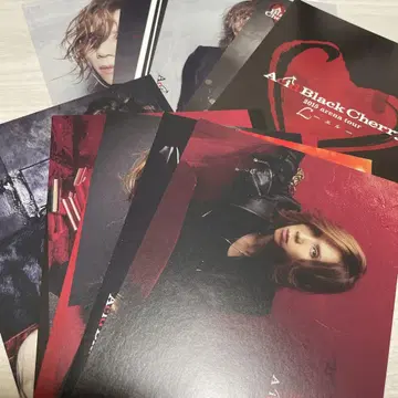 Acid Black Cherry 2015 투어 L 엽서