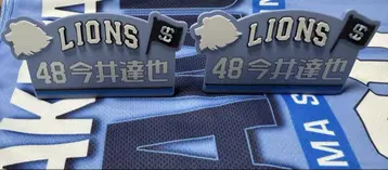 사이타마 세이부 라이온즈 이마이 타츠야