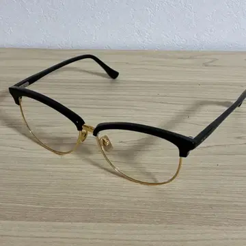 R919.5 DITA 디타 reflection 안경