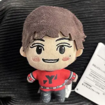 NCTCCOMAZ 양양 봉제 인형 프라이스