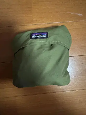파타고니아 칼리 에일 백