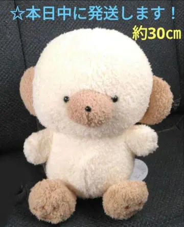 [라운드원 한정판 죠세마루 BIG 봉제 인형 [라테]]