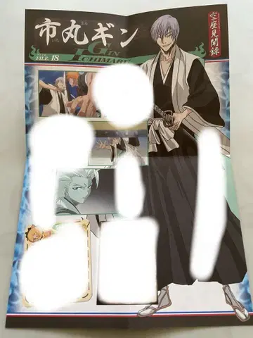 BLEACH 공좌견문록 이치마루 긴 [ 레어템, 초레어 ]