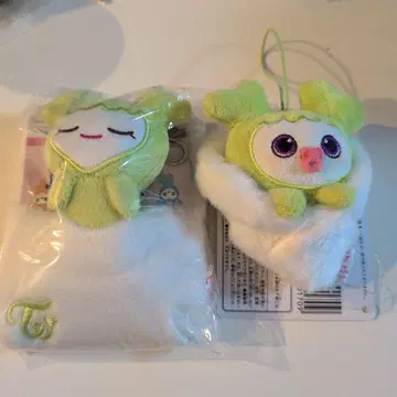 트와이스 정블리(정현)
