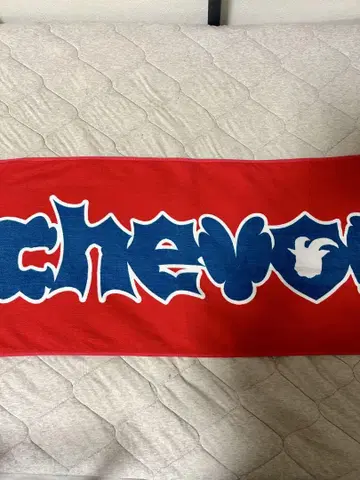 초기 Chevon 타월