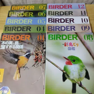 새상품급 [ BIRDER ] 2023년