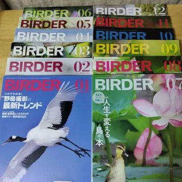 새상품급 [ BIRDER ] 2024년