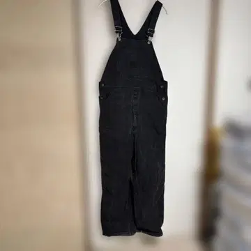 Ben Davis 미국제 오버롤 USA
