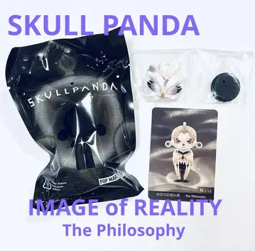SKULLPANDA IMAGEofREALITY ThePhilosophy