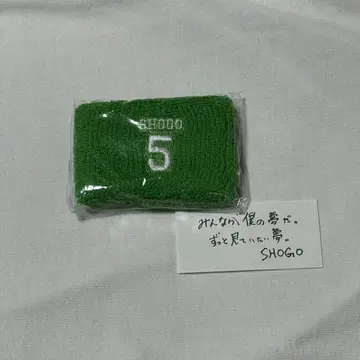 INI 타지마 쇼고 가챠 낙하물