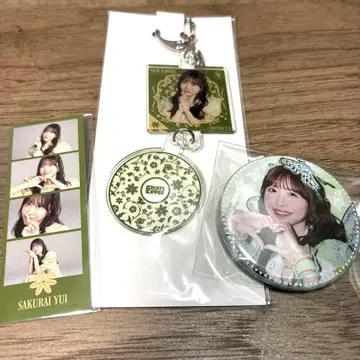 사쿠라이 유이 세트