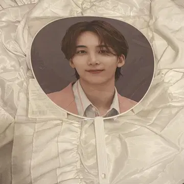 SEVENTEEN 정한 부채