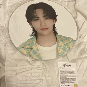 SEVENTEEN 정한 부채