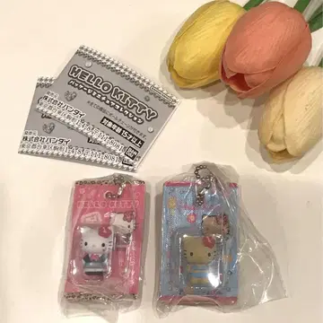 HELLO KITTY 패키지 미니어처 컬렉션