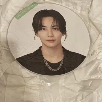 SEVENTEEN 정한 부채