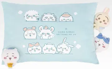 치이카와(먼작귀) 제일복권 3점 라스트 원상 키링 핸드 타월 세트