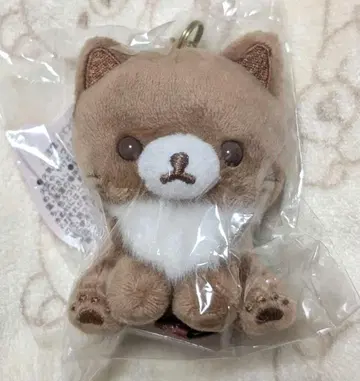 리락쿠마 스토어 코코아캣 걸이형 봉제 인형