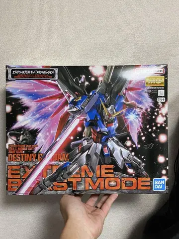 MG 1/100 데스티니 건담 익스트림 블라스트 모드