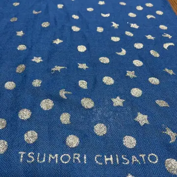 츠모리치사토 스톨