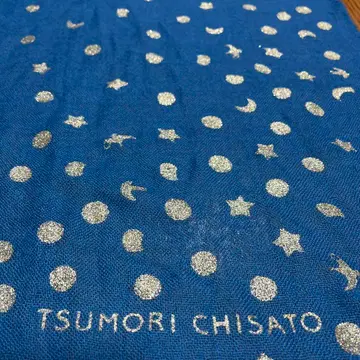 츠모리치사토 스톨