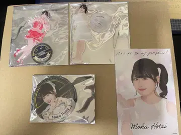 AKB48 헝겊 가방 효햐쿠지 굿즈 모음