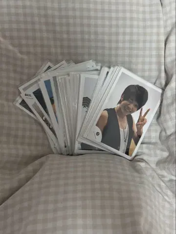 나니와단시 니시하타 다이고 공식 사진 86매 세트