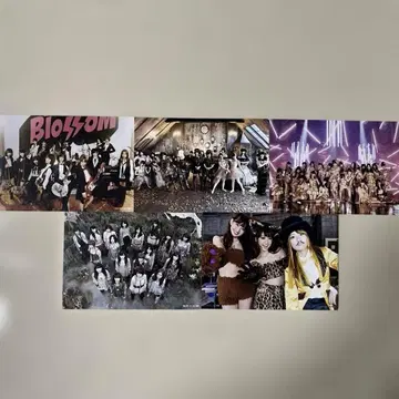 AKB48 브로마이드 5장 세트