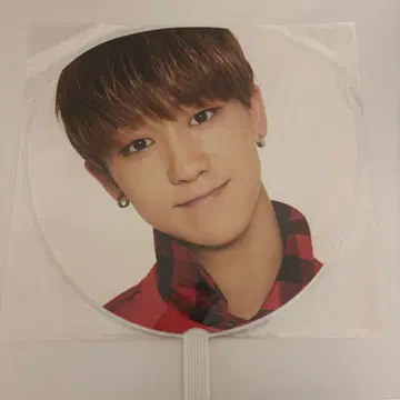SEVENTEEN 세븐틴 THE8 디에잇 부채