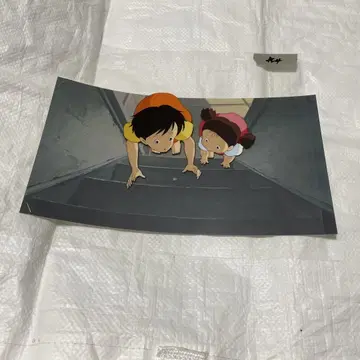 이웃집 토토로