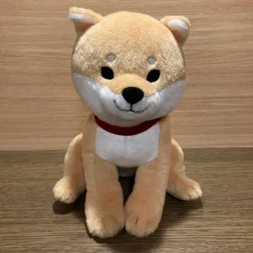 [ 새상품급 ] 시바견 시바타 씨 앉은 봉제 인형
