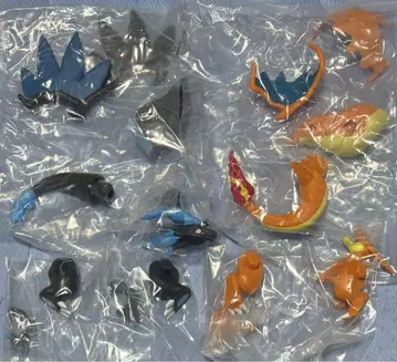 당일 발송 포켓몬스터 조립 가동 메가 리자몽X 메가 리자몽Y
