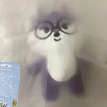 MINITEEN PLUSH TOY 봉제 인형 원우 FOXDUNGEE
