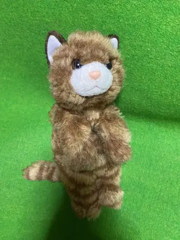 레트로 고양이 봉제 인형 레어