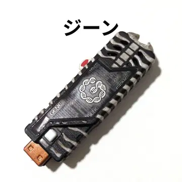 가면라이더 더블 가이아메모리 진메모리 도펀트