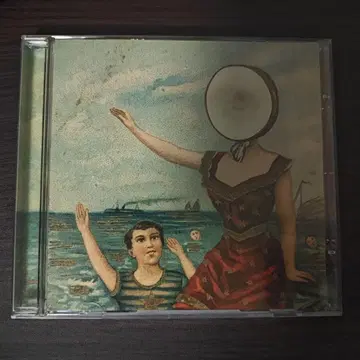 In the Aeroplane Over the Sea