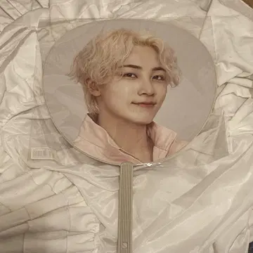 SEVENTEEN 정한 부채