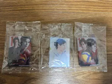 타카하시 란 배구 가챠 가샤폰 아크릴 컬렉션 3개 세트
