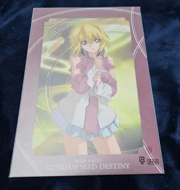 건담 SEEDDESTINY 스텔라