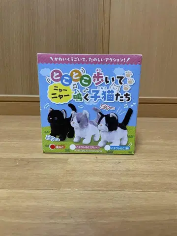 또각또각 걸으며 야옹야옹 우는 새끼 고양이들 블랙