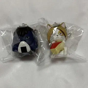 하이큐 애니멀 피크닉 C상 카게 유리, 켄마 고양이