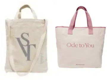 SEVENTEEN 투어백 SVT 돔 투어 Ode to you