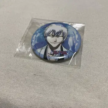 BLEACH 웨트 컬러 이치마루 긴